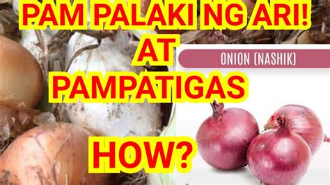 gamot pampalaki ng ari